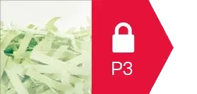 P3 icon