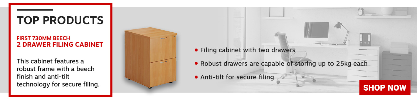 First 2 Drawer Filing Cabinet 464x600x710mm 